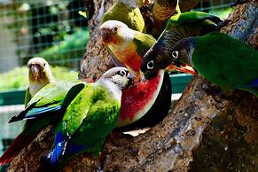 Manas Resort with Petting Zoo