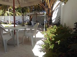 Palm Garden