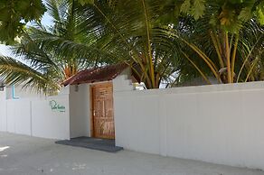 Palm Garden