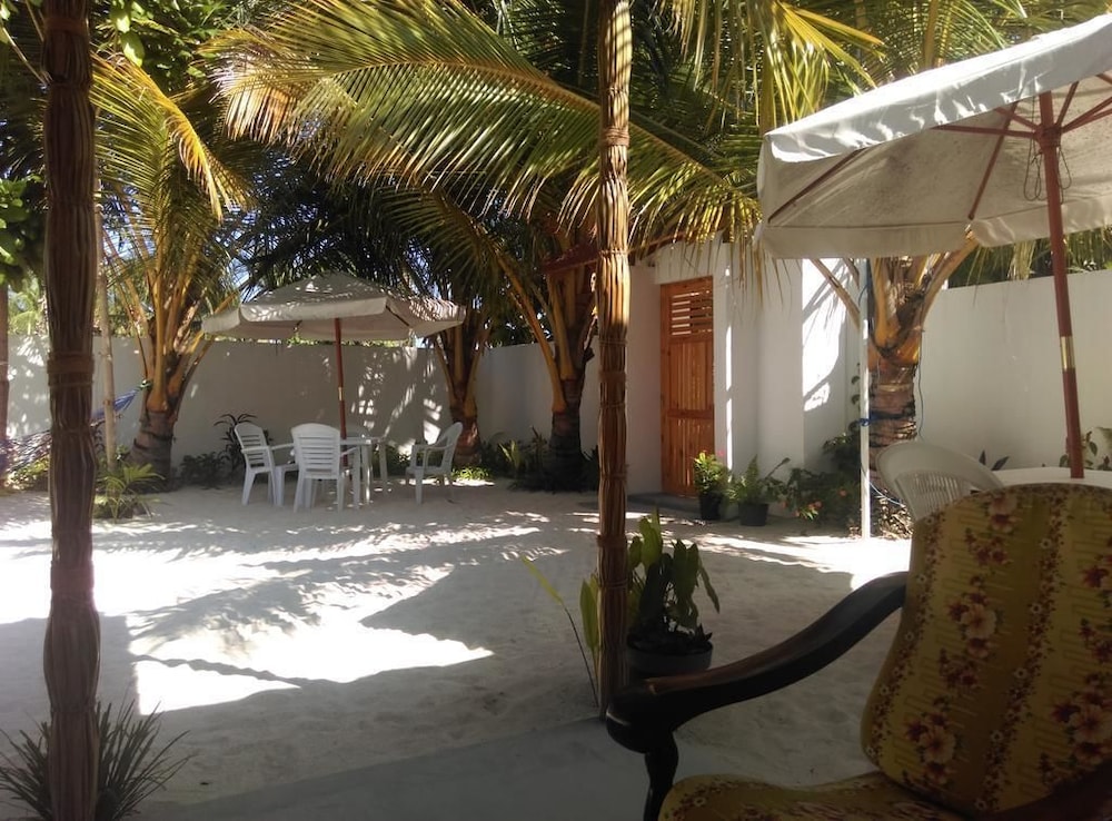 Palm Garden
