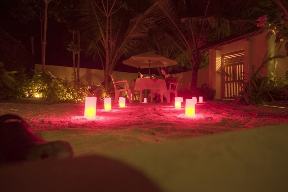 Palm Garden