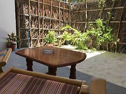 Palm Garden