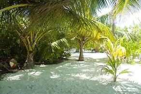 Palm Garden