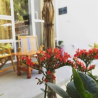 Palm Garden