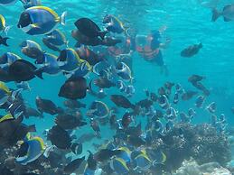Club Blu