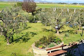 Agriturismo gli Etruschi
