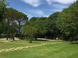 Domaine Les Martins