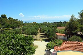Zante Yliessa