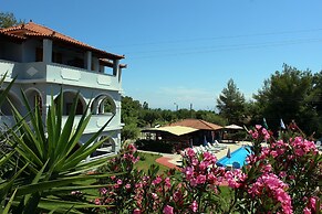 Zante Yliessa