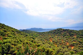 Kaktus Villa 2