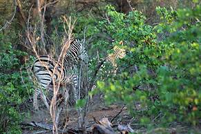 Mtomeni Safari Camp