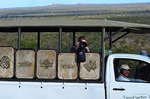 Mtomeni Safari Camp