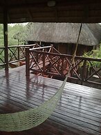 Lion Tree Bush Lodge