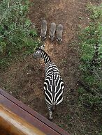 Lion Tree Bush Lodge