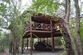 Lion Tree Bush Lodge