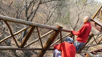 Lion Tree Bush Lodge