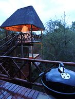 Lion Tree Bush Lodge