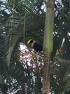 La Perlita
