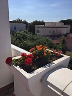 Lavinio Terrace