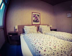 Alpina Hotel