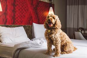ibis London Excel Docklands