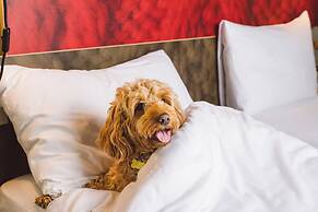 ibis London Excel Docklands