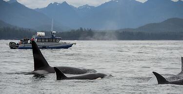 Tofino Resort & Marina