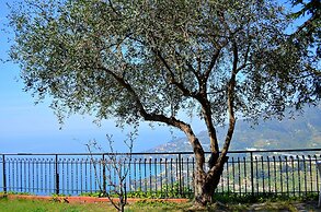 La Riserva di Castel d'Appio