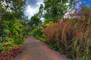 Quinta Jardins do Lago