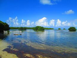 Decameron Marazul - All Inclusive