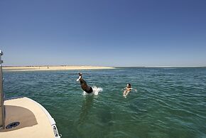 Occidental Faro