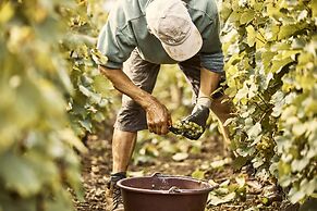 COMO Le Montrachet