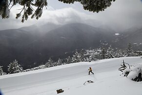Manning Park Resort