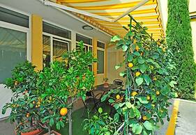 Bed & Breakfast Ai Cipressi