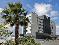 Verdi Santarem