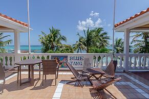 Blue Tang Inn