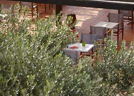 Vasia Resort & Spa