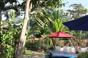 Negril Palms