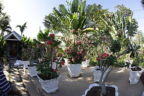 Negril Palms