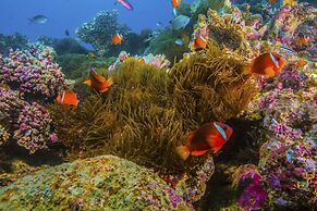 Beqa Lagoon Resort