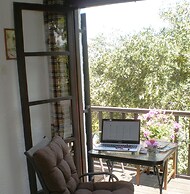 Summer Lodge