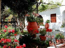 Summer Lodge