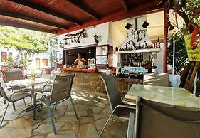 Summer Lodge
