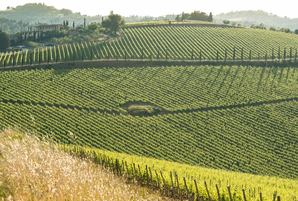 Dievole Wine Resort