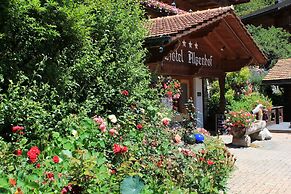 Hotel Alpenhof