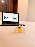 Kyriad Blois Sud-Vineuil