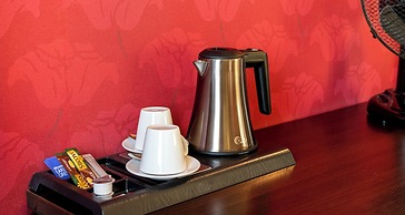 PLAZA INN Wels