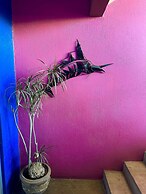 Siesta Suites Boutique Hotel