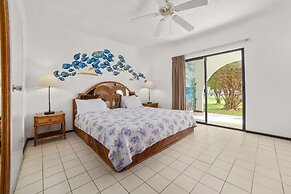 Sand Dollar Bonaire