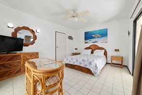 Sand Dollar Bonaire